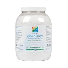 Deba Pharma Magnesium Vlokken Himalaya Pot 2,5kg