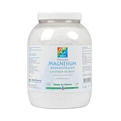 Deba Pharma Flocons de Magnésium Himalaya Pot 2,5kg