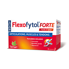 Flexofytol Forte - 28 Comprimés