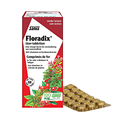 Salus Floradix Fer 84 Comprimés