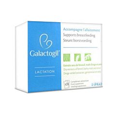 Galactogil Lactation 24 Sachets