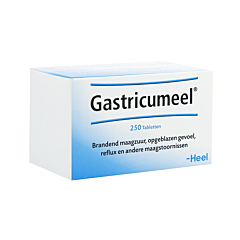Heel Gastricumeel - 250 Tabletten