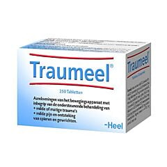 Heel Traumeel 250 Tabletten