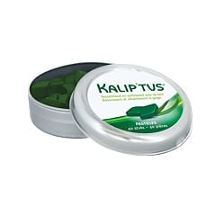 Kaliptus Zuigtabletten 40 Stuks NF
