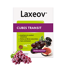 Laxeov Cubes Transit Pruneau-Figue-Raisin 10 Pièces x 10g