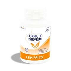 Lepivits Formule Cheveux 30 Gélules