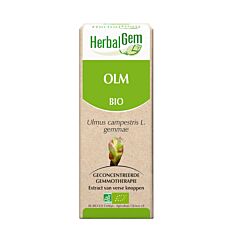 HerbalGem Olm Maceraat 15ml