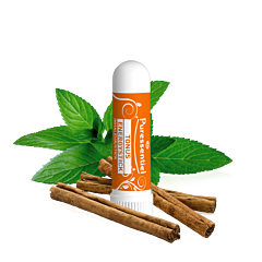 Puressentiel Boost Inhaleertoestel 1ml