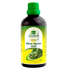 Fytobell Ribes Nigrum GLM Flacon 100ml