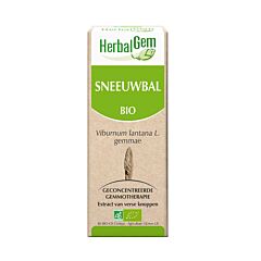 HerbalGem Sneeuwbal Maceraat 50ml