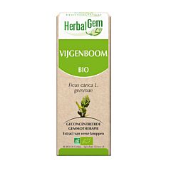 HerbalGem Vijgenboom Maceraat 50ml