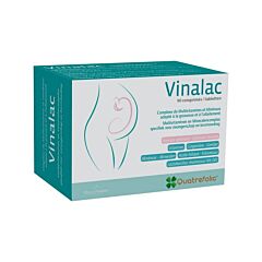 Vinalac 90 Comprimés NF