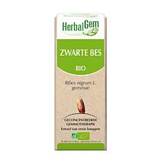 HerbalGem Zwarte Bes Maceraat 15ml