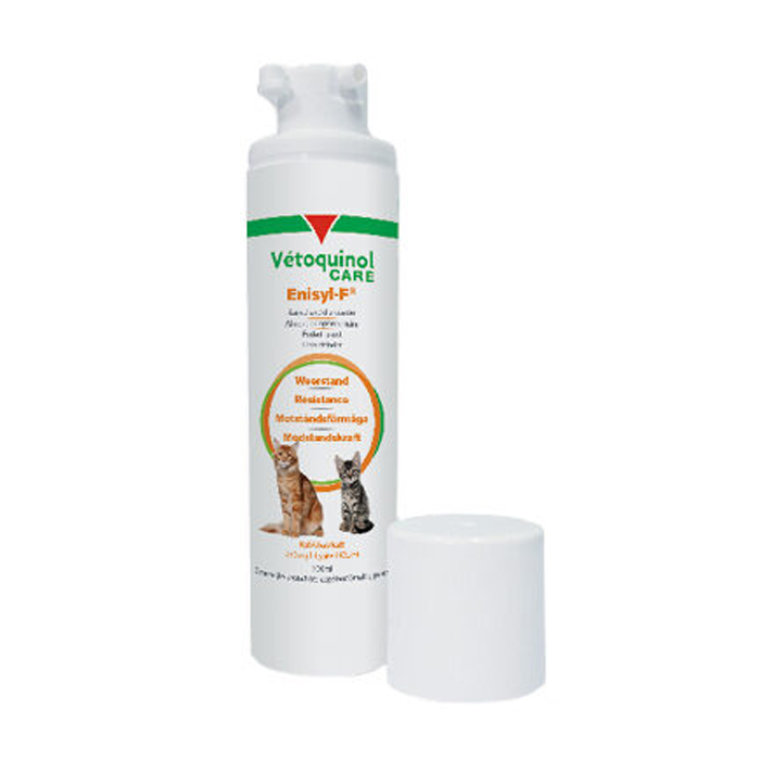 Image of Vétoquinol Enisyl-F Orale Pasta Kat 100ml 