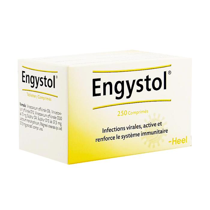 Image of Heel Engystol 250 Tabletten 