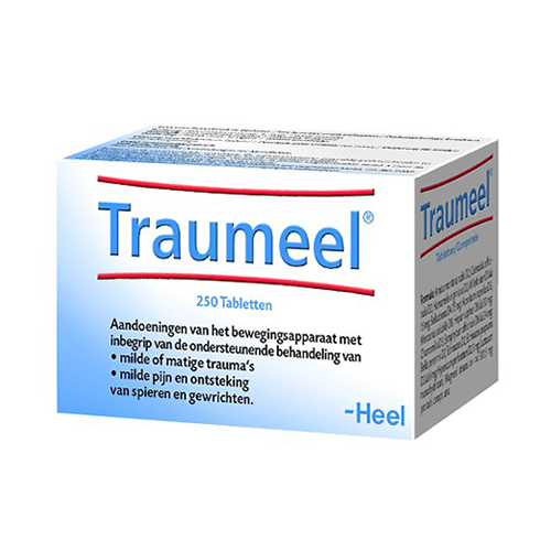 Image of Heel Traumeel 250 Tabletten