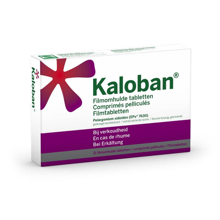 Image of VSM Kaloban 21 Tabletten 