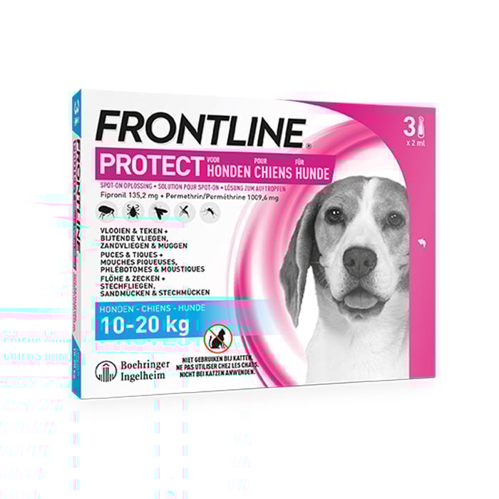 Image of Frontline Protect - Anti-Vlooien/ Teken Spot-On Oplossing Voor Honden - 10-20kg - 3 Pipetten 