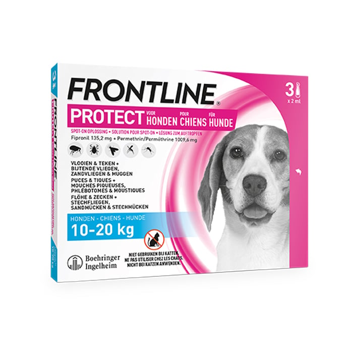 Image of Frontline Protect - Anti-Vlooien/ Teken Spot-On Oplossing Voor Honden - 10-20kg - 3 Pipetten