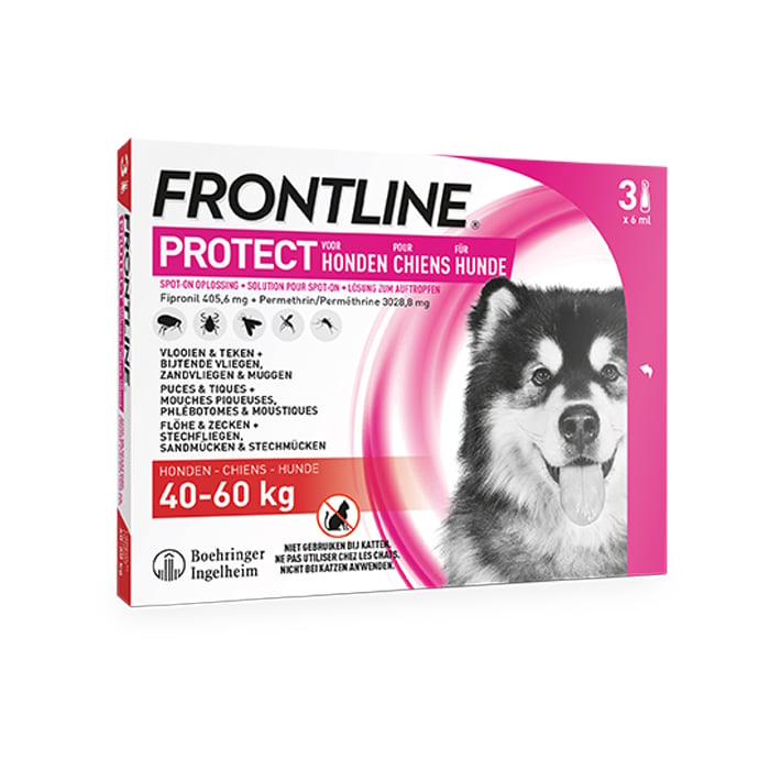 Image of Frontline Protect - Anti-Vlooien/ Teken Spot-On Oplossing Voor Honden - 40-60kg - 3 Pipetten 