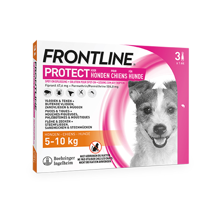 Image of Frontline Protect - Anti-Vlooien/ Teken Spot-On Oplossing Voor Honden - 5-10kg - 3 Pipetten 