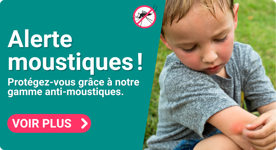 moustiques